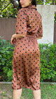 Brown Polka Dots Dress